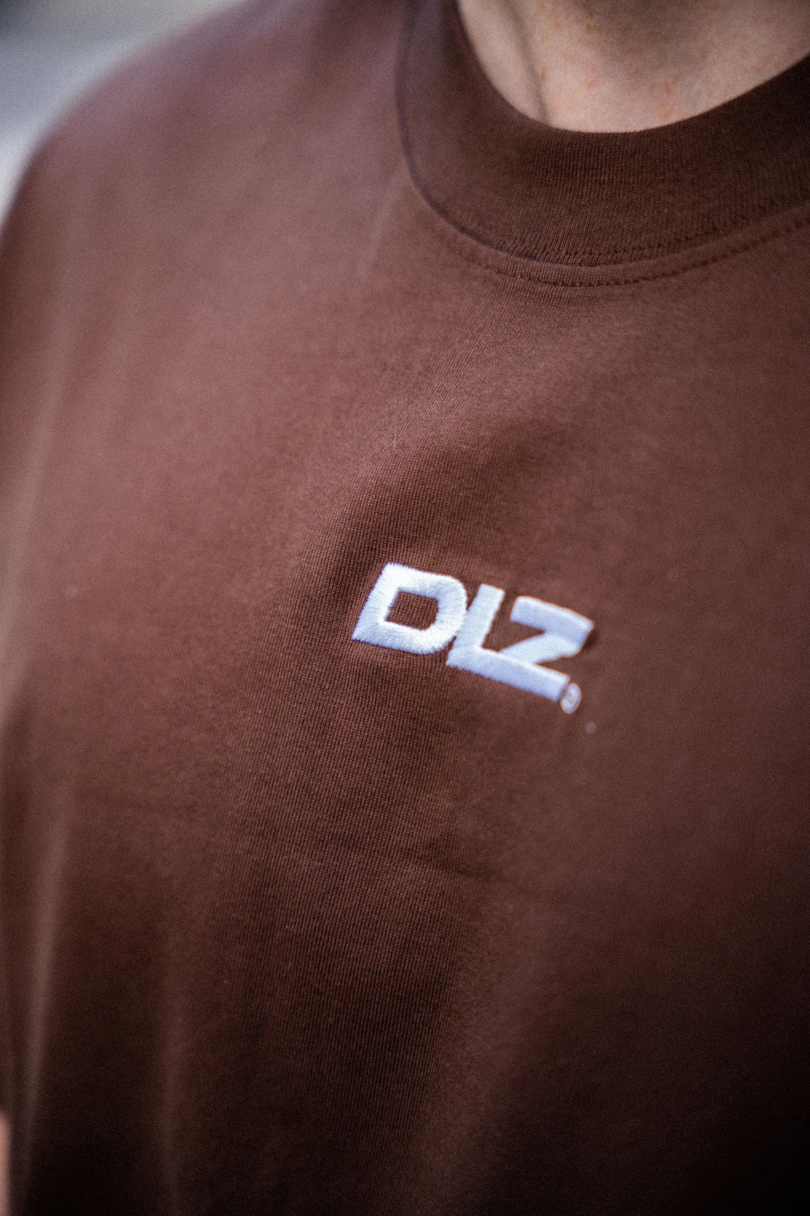Boxy Brown T-Shirt · photo 3